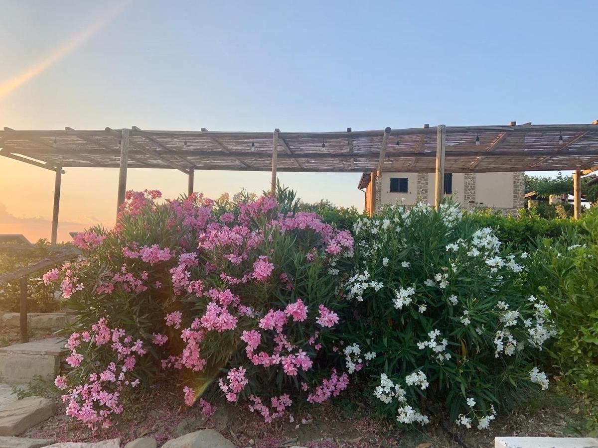 Bed and Breakfast Borgo Crispiero Екстер'єр фото