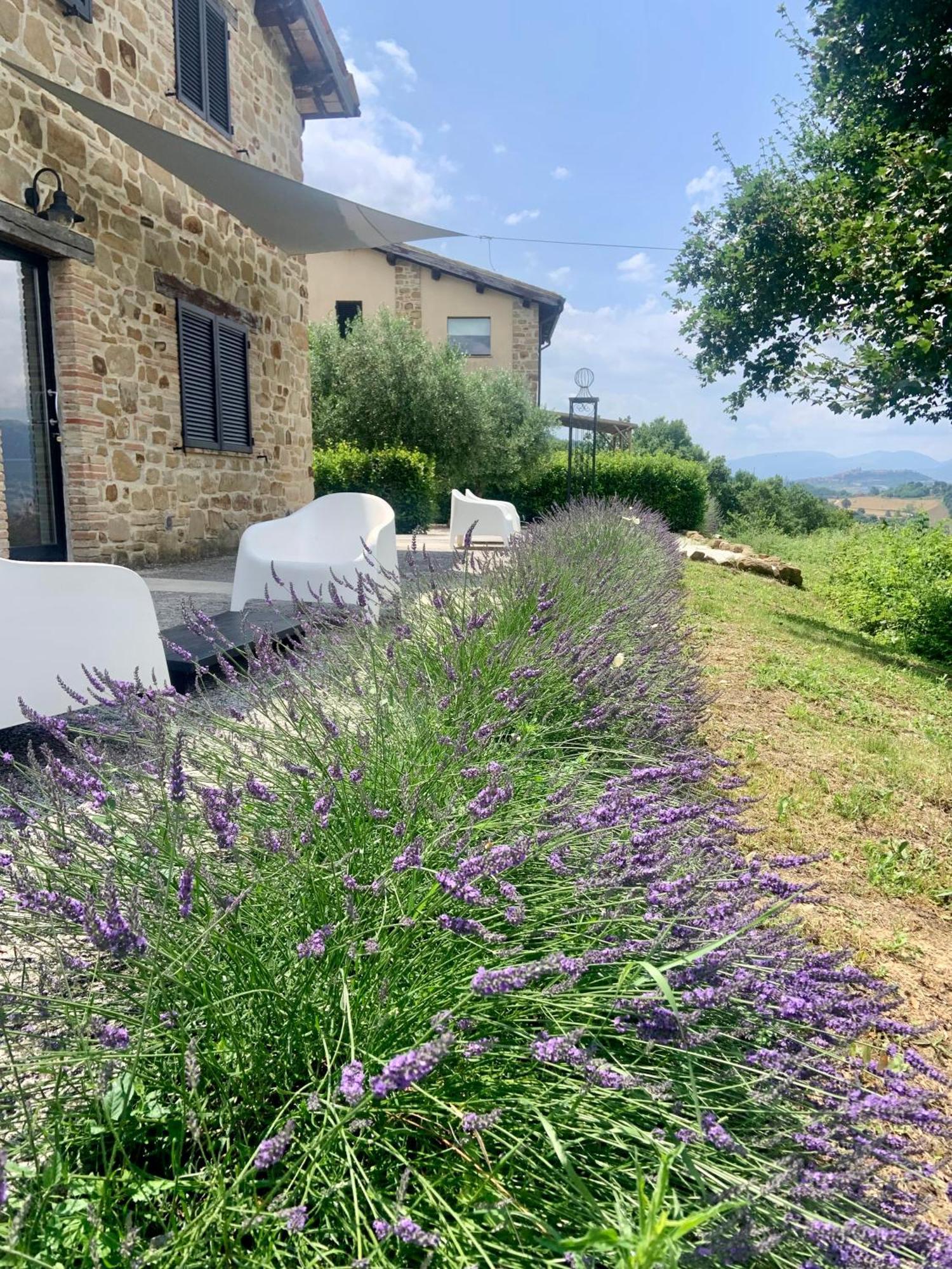 Bed and Breakfast Borgo Crispiero Екстер'єр фото